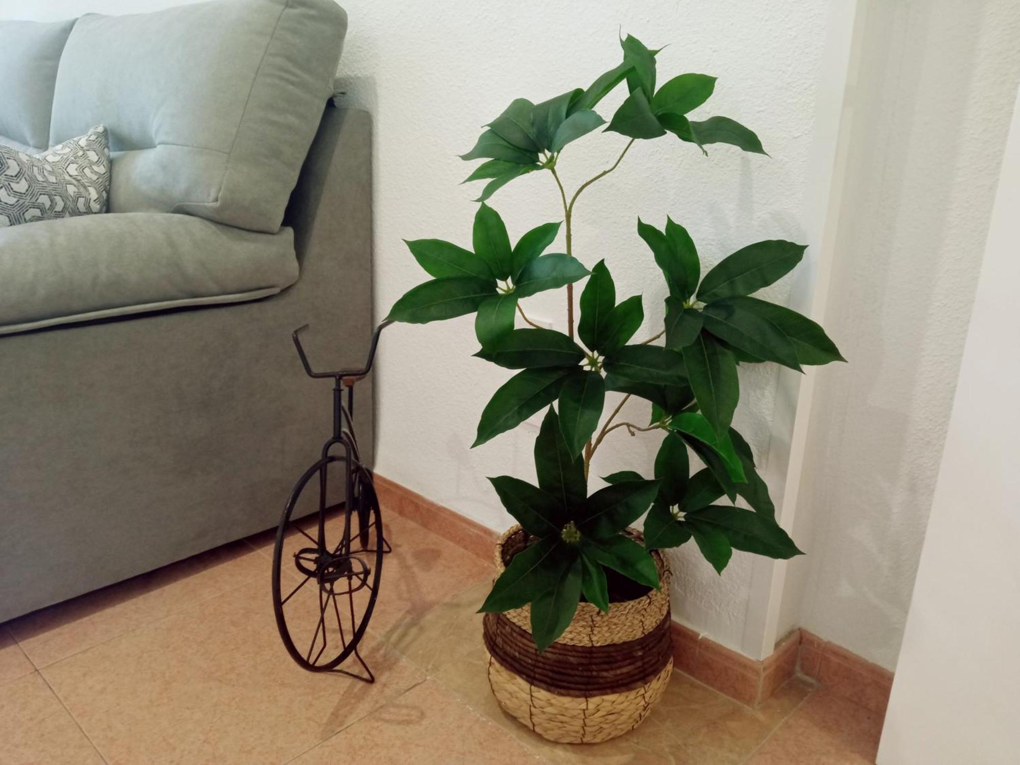 Apartamento Los Jardines De La Magdalena 科爾多瓦 外观 照片